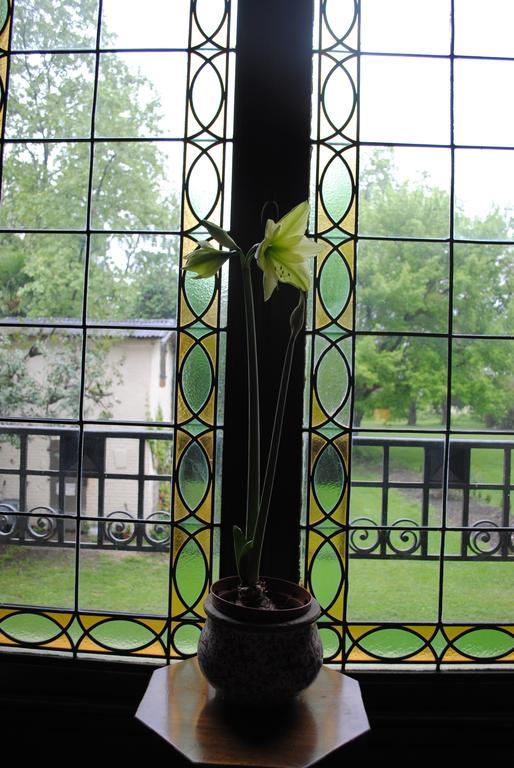 Chateau Mezger Albefeuille-Lagarde Ngoại thất bức ảnh