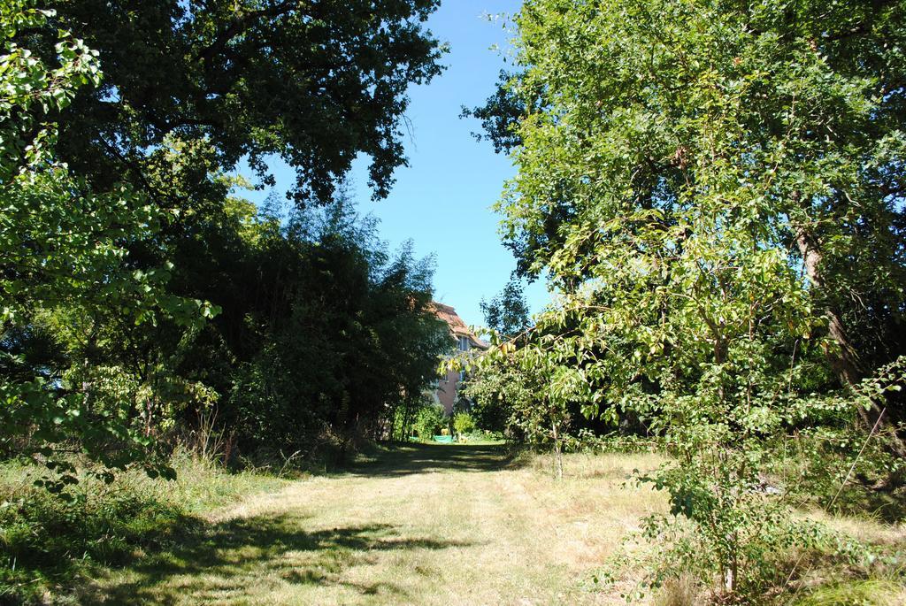 Chateau Mezger Albefeuille-Lagarde Ngoại thất bức ảnh