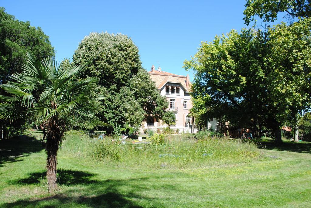 Chateau Mezger Albefeuille-Lagarde Ngoại thất bức ảnh