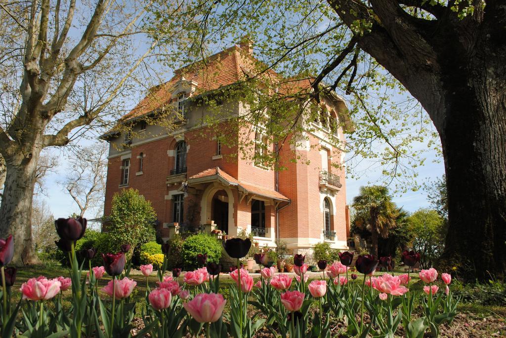 Chateau Mezger Albefeuille-Lagarde Ngoại thất bức ảnh